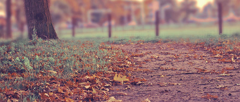 批发价格实惠的免费电话轰炸